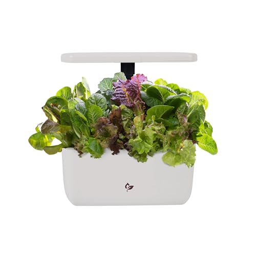 AeroGarden Harvest 2.0, Indoor Garden Hydroponic System with LED Grow Light, Holds up to 6...