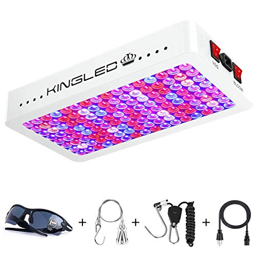 KingLED Newest 1500w LED Grow Lights with Samsung LM301B LEDs and 10x Optical Condenser 4x4 ft...