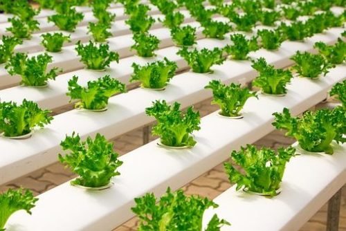 Hydroponic systems