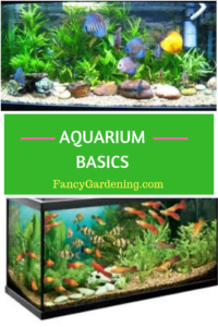 Aquarium Basics