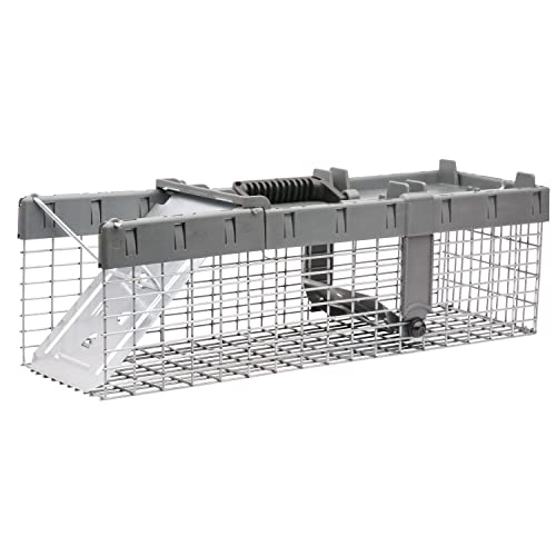 Havahart 1026 Small 1-Door Humane Live Catch and Release Animal Trap for Squirrels, Weasels,...
