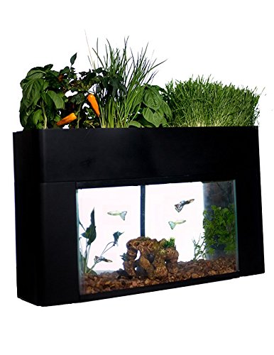 AquaSprouts Garden, Self-Sustaining Desktop Aquarium Aquaponics Ecosystem Kit, fits Standard 10...