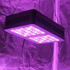 Viparspectra-Best LED grow Lights