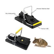 Best Mouse traps to buy