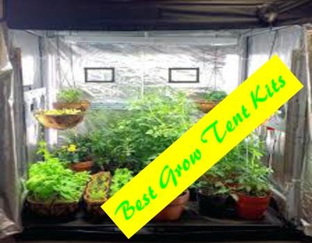 Best Grow tent kit Reviews