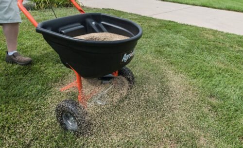 how to choose the right lawn spreader