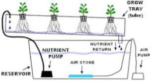 NFT Hydroponic systems