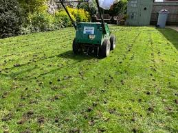 Tine Lawn Aeration