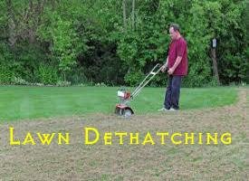 Lawn Dethatching