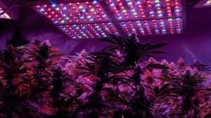 LED Indoor Grow Light System