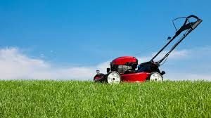 lawn mower- fancy gardening
