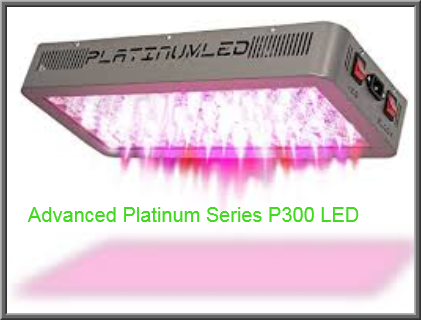 Advanced Platinum Series P300 300W LED
