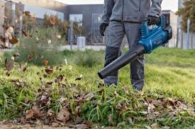 Cordless Leaf Blower