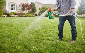 Get Rid of Crabgrass