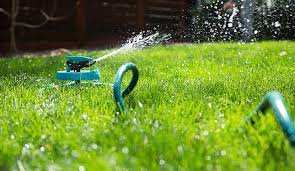 watering your lawn to control crabgrass