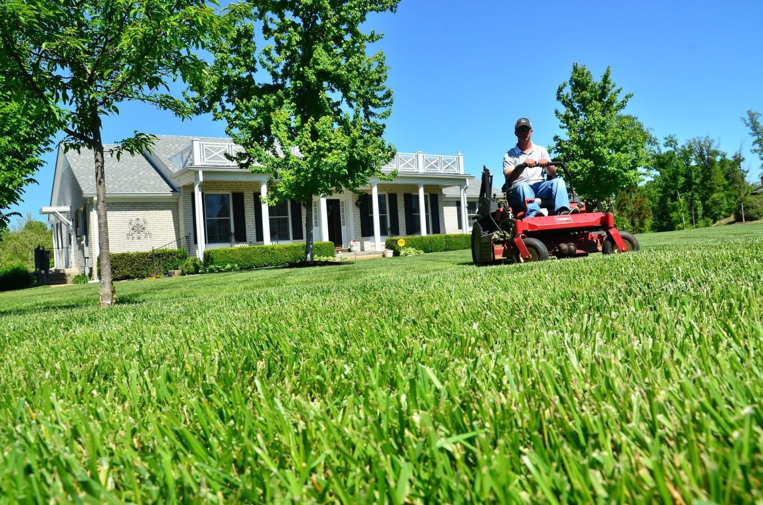 when-to-cut-grass-after-overseeding-fancygardening